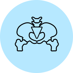 Focus on a particular body part in 3 different points of views:Front/Back, Right/Left, Top/Bottom.