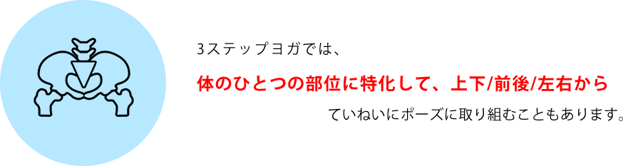 3ステップヨガでは、体のひとつの部位に特化して、前後/左右/上下からていねいにポーズに取り組むこともあります。