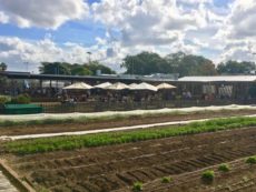 Acre Eatery-ファームレストランで青空ランチ