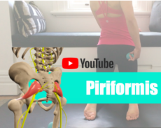 [Youtube更新] セラピーボールで腰痛予防＆改善: 梨状筋のセルフリリース